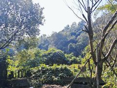 -宁波九龙湖开元度假村