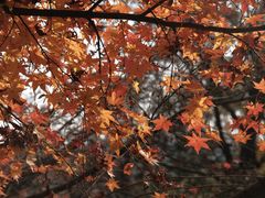 -狼山风景名胜区