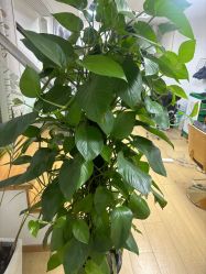 -XS 形色靓点烫染salon