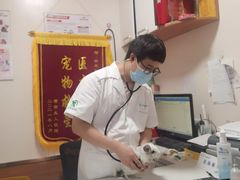 -瑞派·关忠动物医院·异宠专科·犬猫肿瘤·皮肤专科(望京店)