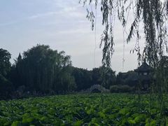 -如家酒店·neo(北京传媒大学西门传媒地铁站店)