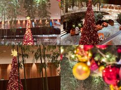 -北京望京凯悦酒店The Lounge大堂酒廊