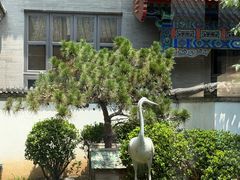 -1949-全鸭季(金宝街店)
