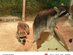 -常州海昌海洋探索馆