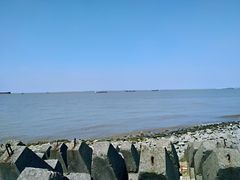 -上海滨江森林公园