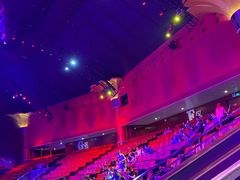 -珠海横琴长隆《卡卡虎奇遇记》