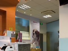 -瑞派申生动物医院·24H夜诊·国际动物医疗中心·骨外科(吴中路店)