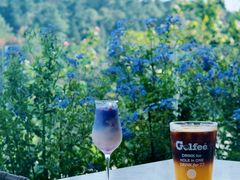 -阳光高尔夫俱乐部