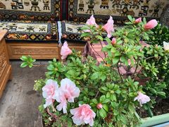 -尼玛藏家风味园(阿山食城店)