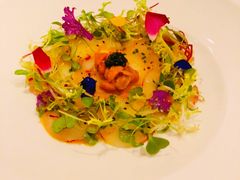 新鲜海胆-蝶舍·MAISON PAPILLON