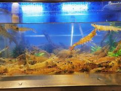 -V-ONE西雅图海鲜自助餐厅(仓山万达广场店)