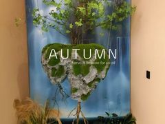 -宫七SPA·高端Massage(浦东大道店)