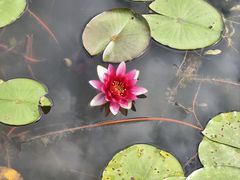 -白鹭湾湿地公园