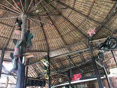 -乌托邦酒吧和餐厅