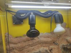 -神奇动物撸宠馆·羊驼·小浣熊·异宠(豫园店)