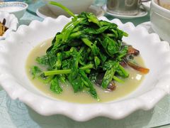 上汤豆苗-金米箩大酒店(五角场店)