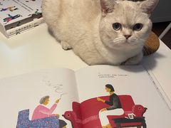 -屋虎猫馆(宝安大仟里店)