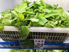 -黔府豆米火锅野菜馆(南马店)