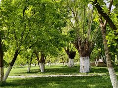 -汉长安城未央宫国家考古遗址公园