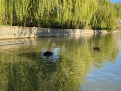 -南翠屏公园