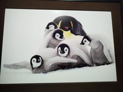 -罗红摄影艺术馆