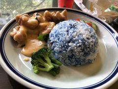 -马来MO简餐.南洋风味料理(美食街店)