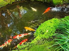 -Chom Cafe and Restaurant