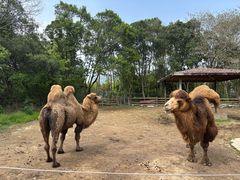 -宁波野生动物园