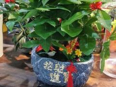 -何兮花店·气球派对鲜花店(马桥银春路万科城店)