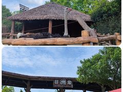 -上海野生动物园