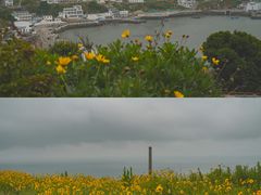 -东极岛景区