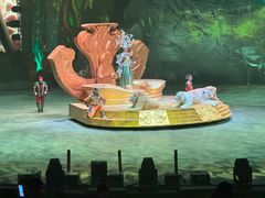 -广州长隆国际大马戏