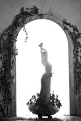 完美新娘-完美新娘婚纱摄影