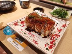 -岭南站NOVA