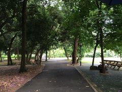 -南宁良凤江国家森林公园