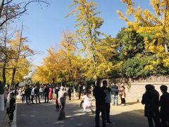 -八大关景区