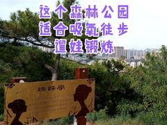 -北岭山森林公园