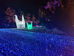 -飞凤山奥体公园