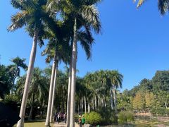 -中国科学院西双版纳热带植物园