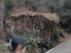 -苍山感通索道