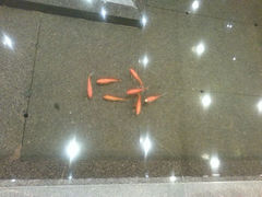 android_upload_pic-豆花酒楼·三十八年匠心(秦皇东大街店)