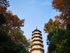 -灵谷景区