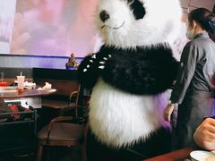 大堂-大隐·成都火锅Bistro(合生麒麟新天地店)