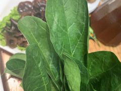 -草原塞蛮羊火锅城(港湾店)