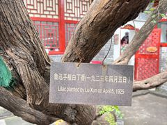 -北京鲁迅博物馆(北京新文化运动纪念馆鲁博馆区)