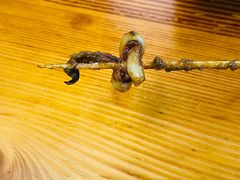 -十里铺铁板鱿鱼