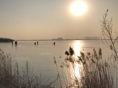 -天津东丽湖风景区