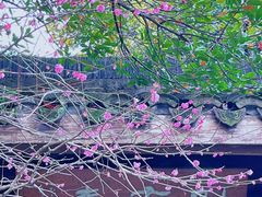 -杭州植物园