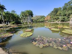 -中国科学院西双版纳热带植物园