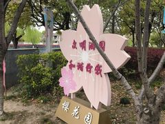 -高东镇樱花园